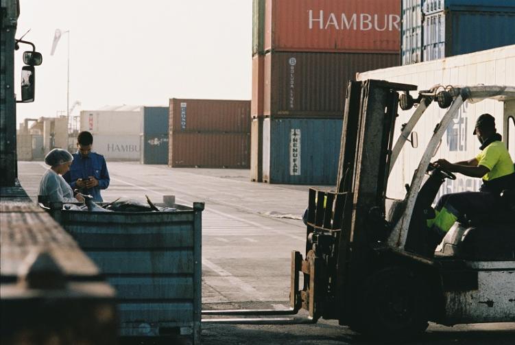Header Image - Keuntungan Menggunakan Jasa Rental Forklift Semarang - CV. Sakti Trans Nusantara